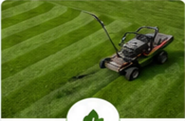 Freshly mowed green lawn